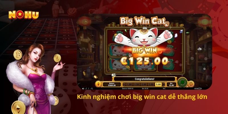 Kinh nghiệm chơi big win cat dễ thắng lớn 